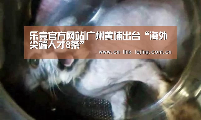 乐竟官方网站