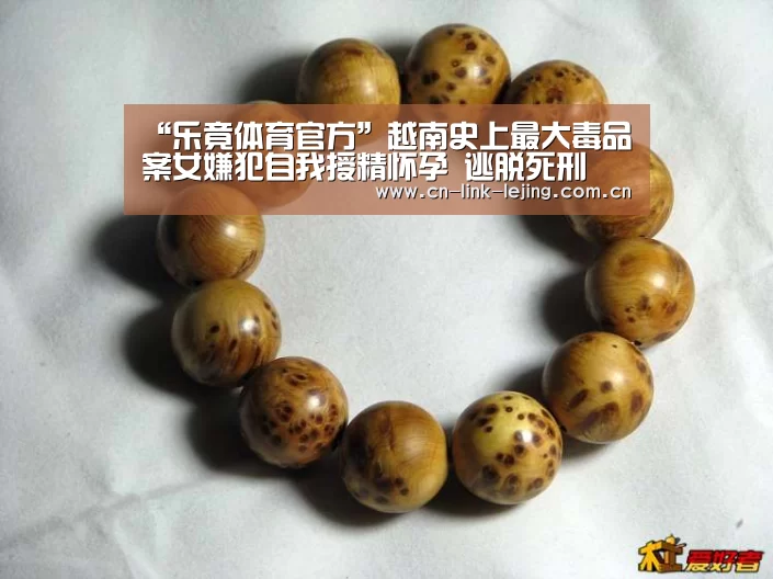 “乐竟体育官方”越南史上最大毒品案女嫌犯自我授精怀孕 逃脱死刑(图2) 乐竟体育官方