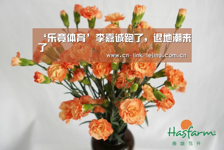 ‘乐竟体育’李嘉诚跑了,退地潮来了(图3) 乐竟官方网站