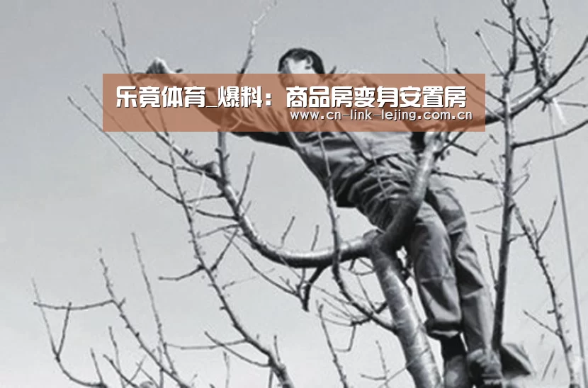 乐竟体育_爆料:商品房变身安置房(图1) 乐竟体育
